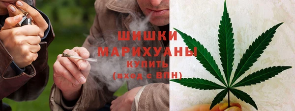 ПСИЛОЦИБИНОВЫЕ ГРИБЫ Зеленодольск