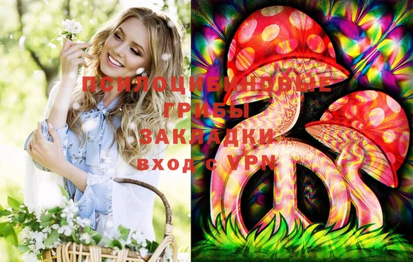 синтетический гашиш Заводоуковск