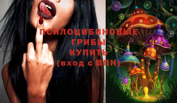 ПСИЛОЦИБИНОВЫЕ ГРИБЫ Зеленодольск