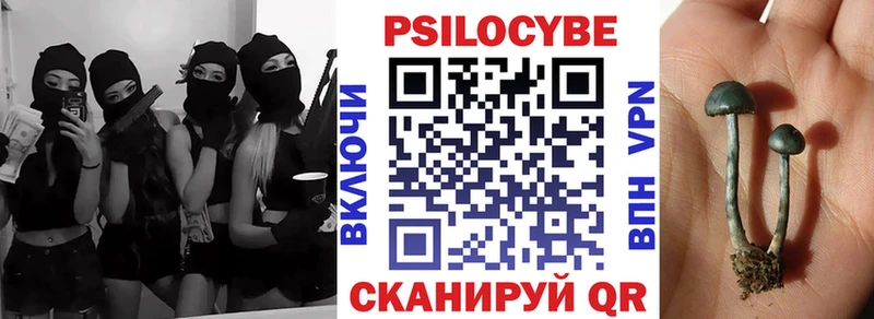 Псилоцибиновые грибы прущие грибы  купить наркотики сайты  Томари 